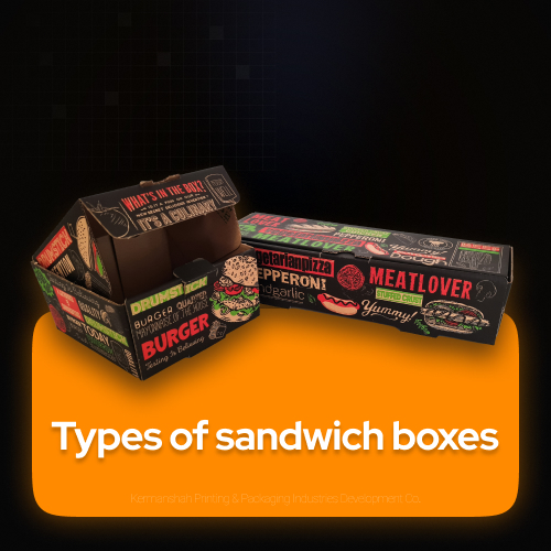 Types of Sandwich Boxes